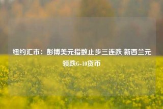 纽约汇市：彭博美元指数止步三连跌 新西兰元领跌G-10货币