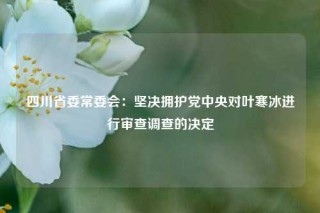 四川省委常委会：坚决拥护党中央对叶寒冰进行审查调查的决定