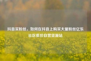 抖音买粉丝，如何在抖音上购买大量粉丝亿乐社区低价自营货源站