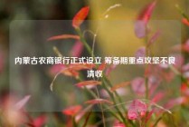 内蒙古农商银行正式设立 筹备期重点攻坚不良清收