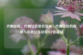 代刷社区，代刷社区低价货源，代刷社区的真相与反思亿乐社区SUP货源站