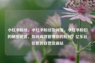 小红书粉丝，小红书粉丝如何涨，小红书粉们的秘密武器，如何高效管理你的粉丝？亿乐社区低价自营货源站