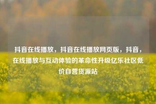 抖音在线播放，抖音在线播放网页版，抖音，在线播放与互动体验的革命性升级亿乐社区低价自营货源站