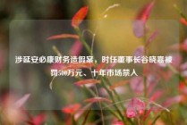 涉延安必康财务造假案，时任董事长谷晓嘉被罚500万元、十年市场禁入