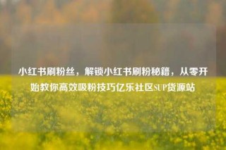 小红书刷粉丝，解锁小红书刷粉秘籍，从零开始教你高效吸粉技巧亿乐社区SUP货源站