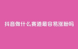 抖音做什么赛道最容易涨粉吗 - 抖音关注哪个领域最容易增加粉丝~
