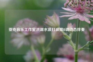 亚克音乐工作室洪湖水浪打浪降B调动态伴奏
