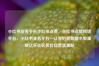 小红书业务平台小红书点赞，小红书点赞网络平台，小红书业务平台—让你的赞如潮水般涌现亿乐社区低价自营货源站