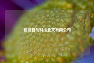 畅娱互动科技北京有限公司