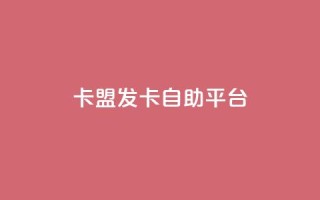 卡盟发卡自助平台 - 发卡自助平台卡盟，助您轻松发卡。