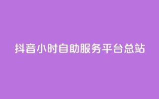 抖音24小时自助服务平台总站 - 抖音全天候自助服务平台一站式解决方案！