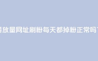 快手播放量网址 - 刷粉每天都掉粉正常吗