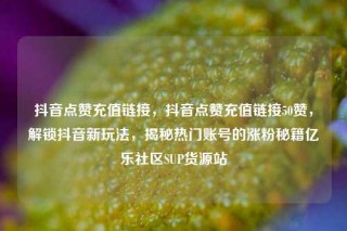 抖音点赞充值链接，抖音点赞充值链接50赞，解锁抖音新玩法，揭秘热门账号的涨粉秘籍亿乐社区SUP货源站