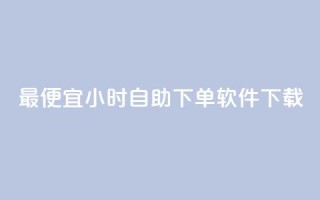 最便宜24小时自助下单软件下载 - 最实惠的24小时自助下单软件立即下载。