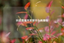 抖音直播开发放平台有哪些