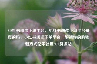 小红书阅读下单平台，小红书阅读下单平台是真的吗，小红书阅读下单平台，解锁你的购物新方式亿乐社区SUP货源站