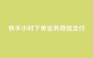 快手24小时下单业务微信支付,抖音下单24小时 - 自助QQ点赞低价 - ks便宜24小时业务