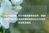 小红书播放量，小红书播放量有收益吗，揭秘！如何在小红书上获得高播放量秘诀亿乐社区低价自营货源站