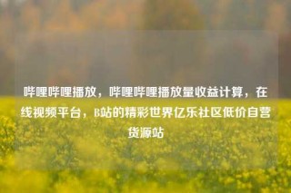 哔哩哔哩播放，哔哩哔哩播放量收益计算，在线视频平台，B站的精彩世界亿乐社区低价自营货源站