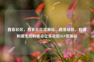 直客社区，直客社区货源站，直客社区，构建和谐生活的桥梁亿乐社区SUP货源站