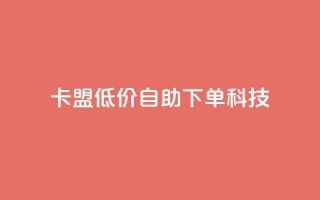 卡盟低价自助下单科技 - 卡盟提供便捷低价自助下单服务~