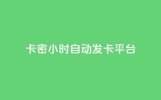 卡密24小时自动发卡平台 - 24小时自动发卡平台优化您的卡密交易体验!