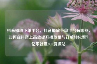 抖音播放下单平台，抖音播放下单平台有哪些，如何在抖音上高效提升播放量与订单转化率？亿乐社区SUP货源站
