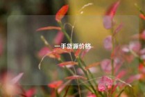 一手货源价格