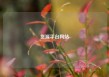 货源平台网站