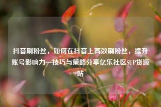 抖音刷粉丝，如何在抖音上高效刷粉丝，提升账号影响力—技巧与策略分享亿乐社区SUP货源站