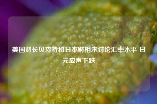 美国财长贝森特和日本财相未讨论汇率水平 日元应声下跌