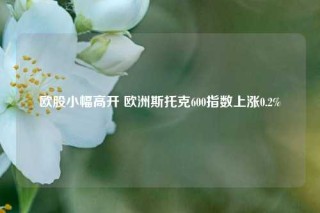 欧股小幅高开 欧洲斯托克600指数上涨0.2%