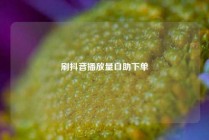 刷抖音播放量自助下单