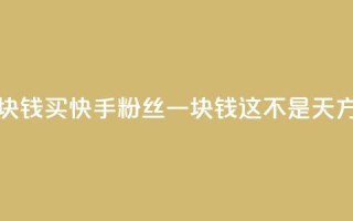 快手买站一块钱1000 - 买快手粉丝一块钱1000，这不是天方夜谭。