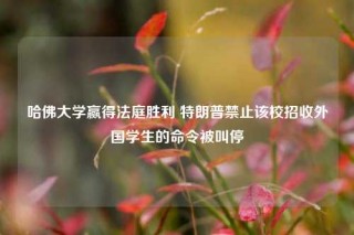 哈佛大学赢得法庭胜利 特朗普禁止该校招收外国学生的命令被叫停