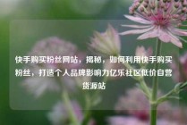 快手购买粉丝网站，揭秘，如何利用快手购买粉丝，打造个人品牌影响力亿乐社区低价自营货源站