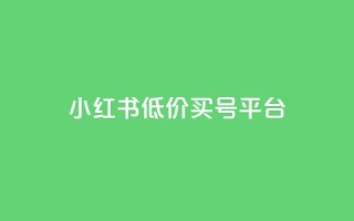 小红书低价买号平台,24自助下单 - 全网最便宜快手业务网站 - qq业务卡盟网站最低价
