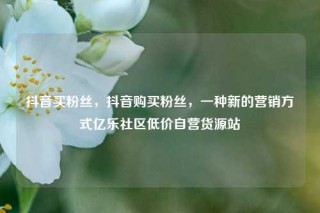 抖音买粉丝，抖音购买粉丝，一种新的营销方式亿乐社区低价自营货源站