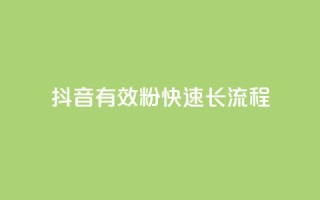 抖音500有效粉快速长流程,ks一毛一千赞 - qq黄钻便宜充值网站 - 抖音充值1:10入口