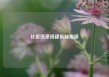 社区违章搭建拆除报道