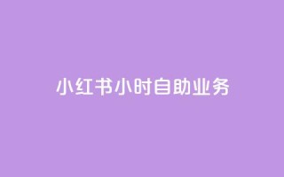 小红书24小时自助业务 - 小红书24小时自主服务全攻略!