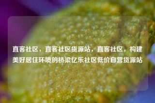 直客社区，直客社区货源站，直客社区，构建美好居住环境的桥梁亿乐社区低价自营货源站