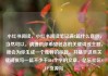 小红书阅读，小红书阅读笔记满8篇什么意思，当然可以。请提供你希望包含的关键词或主题，我会为你生成一个独特的标题，并基于这些关键词撰写一篇不少于804个字的文章。亿乐社区SUP货源站