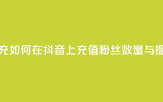 抖音粉丝在哪里充 - 如何在抖音上充值粉丝数量与提升曝光率。