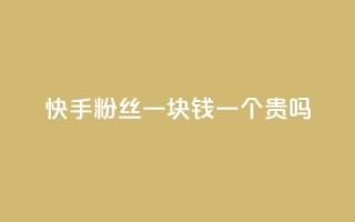 快手粉丝一块钱一个贵吗 - 快手粉丝一元一个是否值得购买解析!