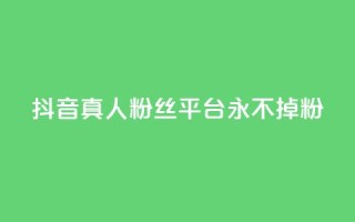 抖音真人粉丝平台 永不掉粉,抖音怎么增加浏览量和粉丝 - 全网最低价qq业务平台登录 - 快手涨1000粉丝网站是多少