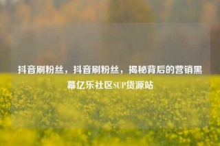 抖音刷粉丝，抖音刷粉丝，揭秘背后的营销黑幕亿乐社区SUP货源站