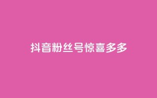 抖音粉丝号 惊喜多多.cn - 抖音粉丝号「惊喜多多.cn」：获取更多惊喜，打造火爆抖音粉丝号~