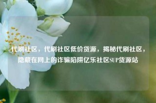 代刷社区，代刷社区低价货源，揭秘代刷社区，隐藏在网上的诈骗陷阱亿乐社区SUP货源站
