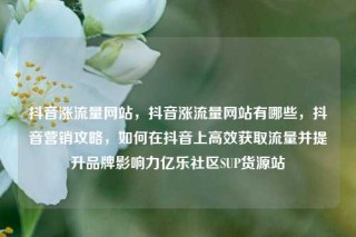 抖音涨流量网站，抖音涨流量网站有哪些，抖音营销攻略，如何在抖音上高效获取流量并提升品牌影响力亿乐社区SUP货源站